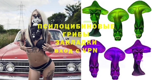 стаф Беломорск