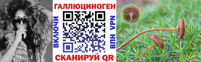 Купить  Тихорецк  Псилоцибиновые грибы Cubensis 